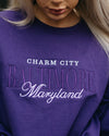 Brightside The Label Baltimore Embroidered Crewneck