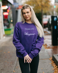 Brightside The Label Baltimore Embroidered Crewneck