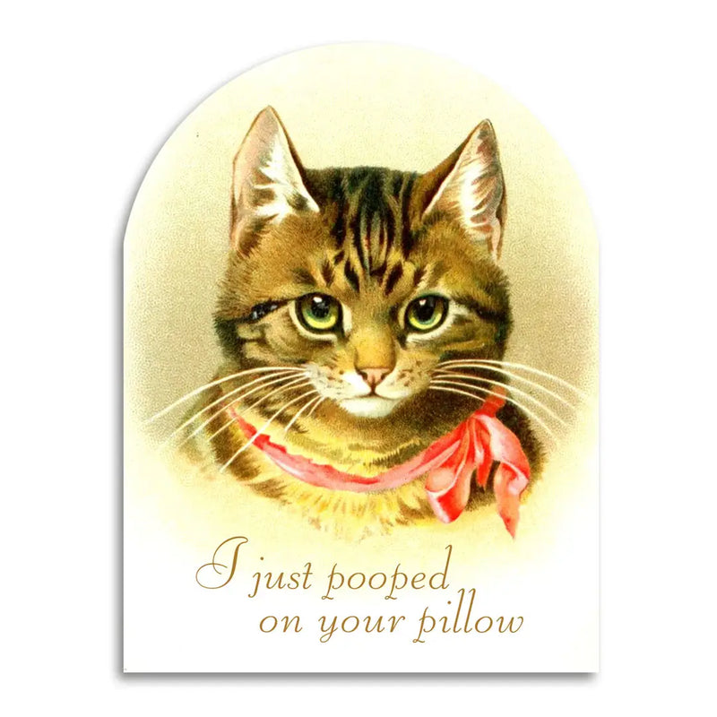 I Just Pooped On Your Pillow Greeting Card