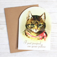 I Just Pooped On Your Pillow Greeting Card