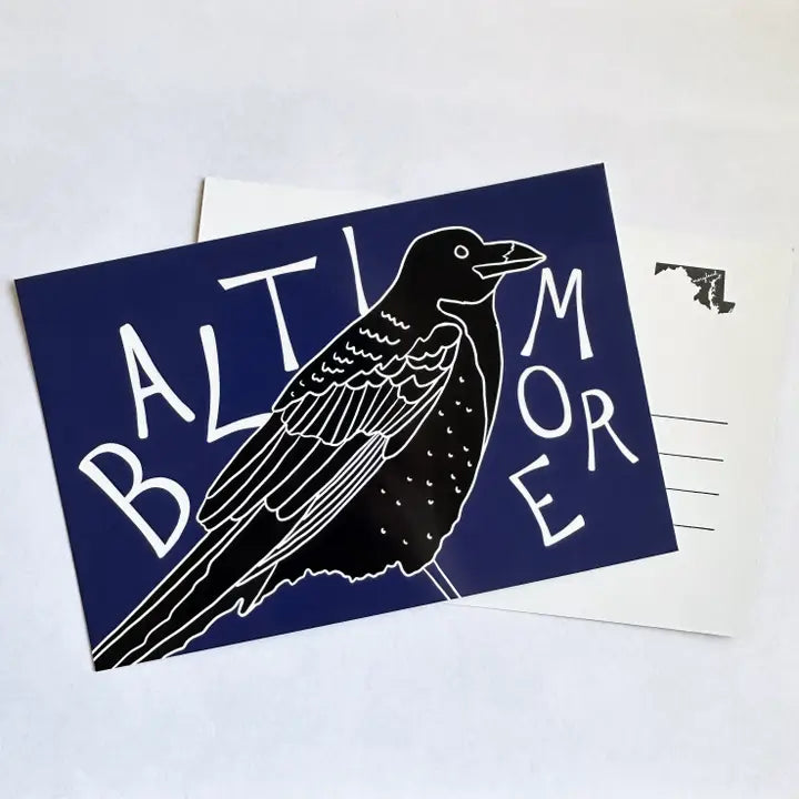 Baltimore Raven Bird Postcard